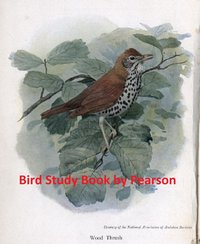 Bird Study Book - T. Gilbert Pearson - ebook