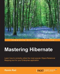 Mastering Hibernate - Ramin Rad - ebook