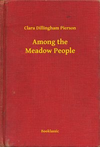 Among the Meadow People - Clara Dillingham Pierson - ebook