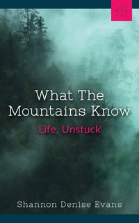 What the Mountains Know - Shannon Denise Evans - ebook