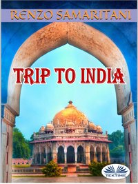 Trip To India - Renzo Samaritani - ebook