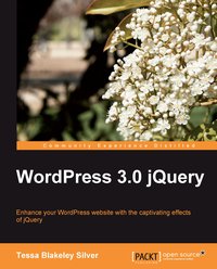 WordPress 3.0 jQuery - Tessa B. Silver - ebook