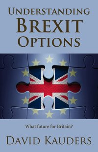 Understanding Brexit Options - David Kauders - ebook