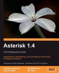 Asterisk 1.4 - The Professional's Guide - Colman Carpenter - ebook