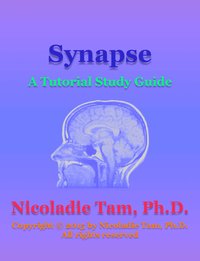 Synapse: A Tutorial Study Guide - Nicoladie Tam - ebook