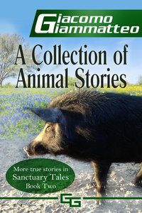 A Collection of Animal Stories - Giacomo Giammatteo - ebook
