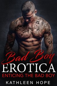Enticing the Bad Boy - Kathleen Hope - ebook