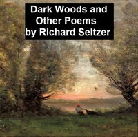 Dark Woods and Other Poems - Richard Seltzer - ebook