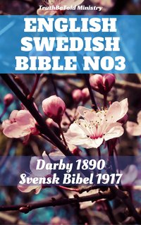 English Swedish Bible No3 - TruthBeTold Ministry - ebook