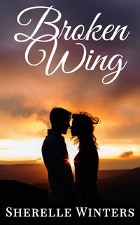 Broken Wing - Sherelle Winters - ebook