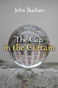 The Gap in the Curtain - John Buchan - ebook