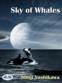 Sky Of Whales - Shoji Yoshikawa - ebook