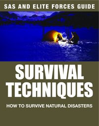 Survival Techniques - Alexander Stilwell - ebook