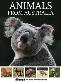 Animals from Australia - My Ebook Publishing House - ebook