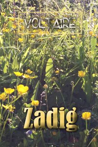 Zadig - Voltaire - ebook