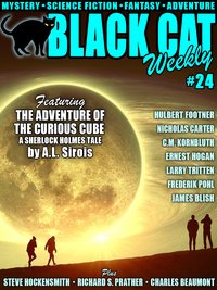 Black Cat Weekly #24 - Wildside Press - ebook