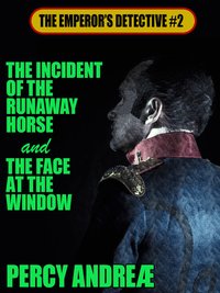 The Incident of the Runaway Horse and the Face at the Window - Percy Andreæ - ebook