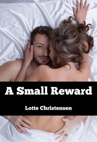 A Small Reward - Lotte Christensen - ebook