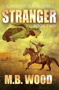 Stranger - M. B. Wood - ebook