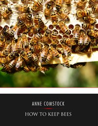 How to Keep Bees - Anna Botsford Comstock - ebook