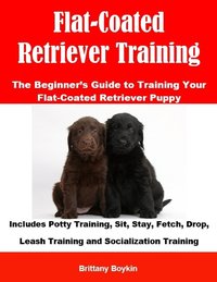 Flat-Coated Retriever Training: The Beginner’s Guide to Training Your Flat-Coated Retriever Puppy - Brittany Boykin - ebook