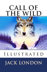 Call of the Wild - Jack London - ebook