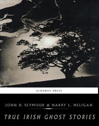 True Irish Ghost Stories - John D. Seymour - ebook