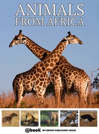 Animals from Africa - My Ebook Publishing House - ebook