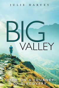 Big Valley - Julie Harvey - ebook