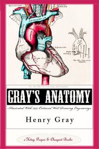 Gray’s Anatomy (Illustrated With 1247 Coloured Well Drawing Engrawings) - Henry Gray - ebook