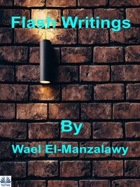 Flash Writings - Wael El-Manzalawy - ebook