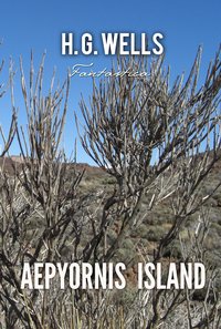 Aepyornis Island