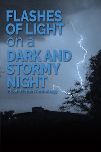 Flashes of Light on a Dark and Stormy Night: A Flash Fiction Anthology - Michele Venné - ebook