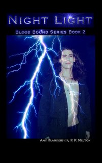 Night Light (Blood Bound Book 2) - Amy Blankenship - ebook