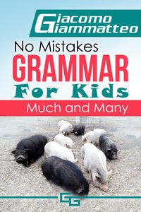 No Mistakes Grammar for Kids - Giacomo Giammatteo - ebook