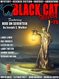 Black Cat Weekly #25 - Wildside Press - ebook