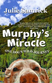 Murphy's Miracle - Julie Samrick - ebook