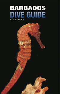 Barbados Dive Guide - Lucy Agace - ebook