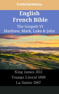 English French Bible - The Gospels VI - Matthew, Mark, Luke & John - TruthBeTold Ministry - ebook
