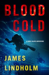 Blood Cold - James Lindholm - ebook