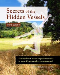 Secrets of the Hidden Vessels - Fletcher Kovich - ebook