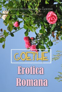 Erotica Romana - Johann Wolfgang von Goethe - ebook