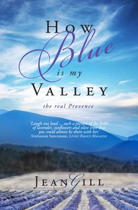 How Blue is My Valley - Jean Gill - ebook
