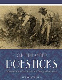 What Became of the Slaves on a Georgia Plantation? - Q.K. Philander Doesticks - ebook