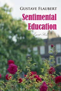 Sentimental Education: The History of a Young Man