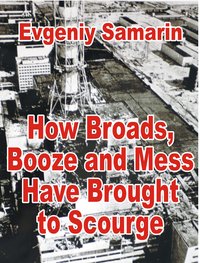 How Broads, Booze and Mess Have Brought to Scourge - Evgeniy Samarin - ebook