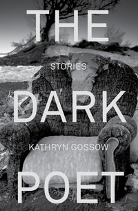 The Dark Poet - Kathryn Gossow - ebook