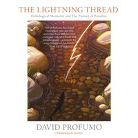 Lightning Thread - David Profumo - audiobook