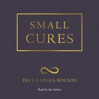 Small Cures - Della Hicks-Wilson - audiobook