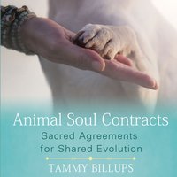 Animal Soul Contracts - Tammy Billups - audiobook